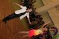 phoca_thumb_l_С‚СѓСЂРЅРёСЂ 432